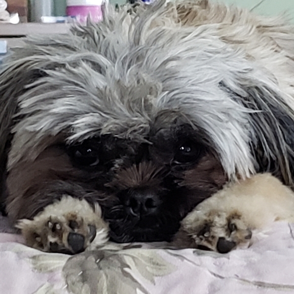 Meet your Posher, Jeanelle - Picture 11 of 11